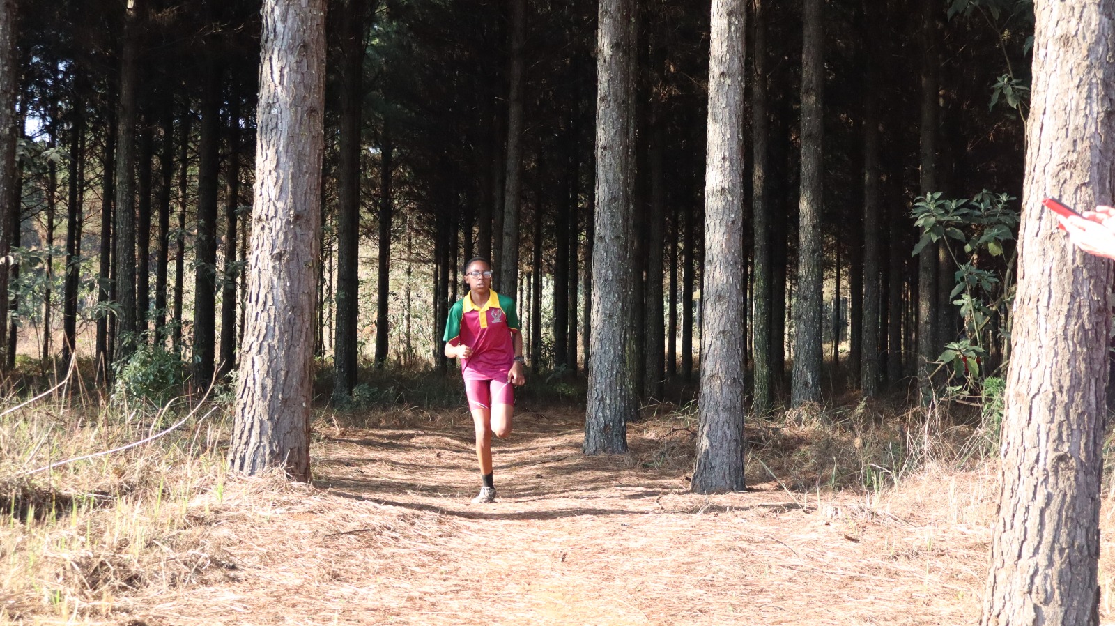 Inaugural York Timbers parkrun Brings Sabie Community Together